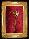 010049