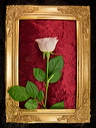 010055