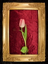 010056