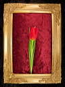 010057