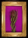 010062