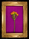010065