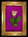 010070