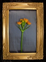 010078