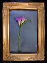 010079
