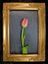 010082