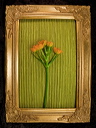 010086