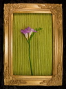 010087