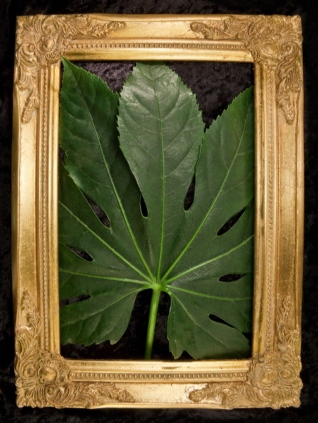 010008.jpg