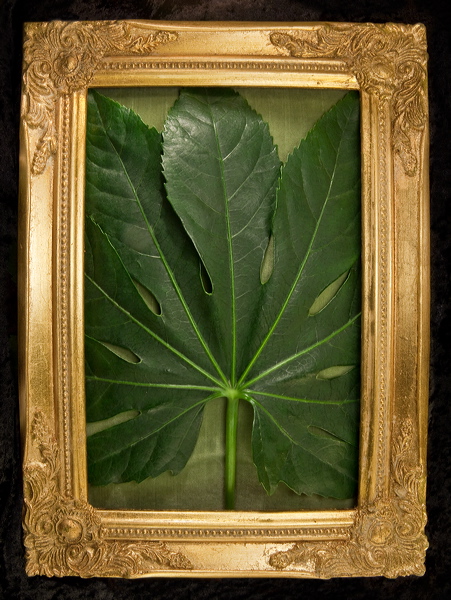 010026.jpg