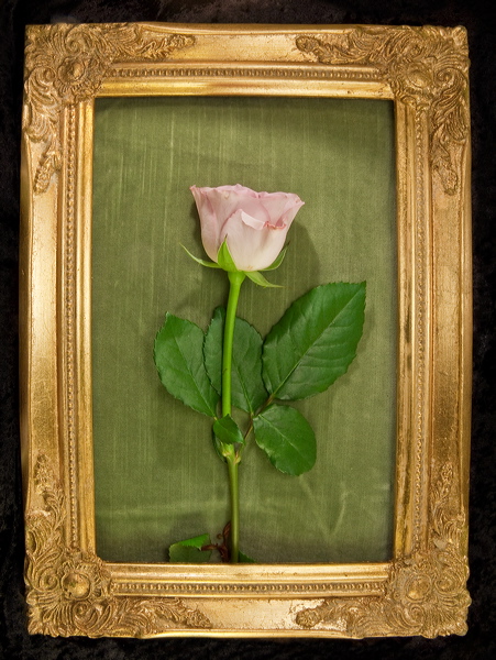 010027.jpg
