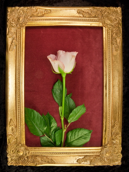 010039.jpg