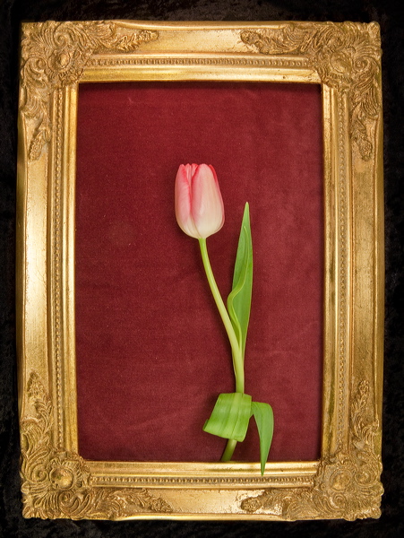 010040.jpg