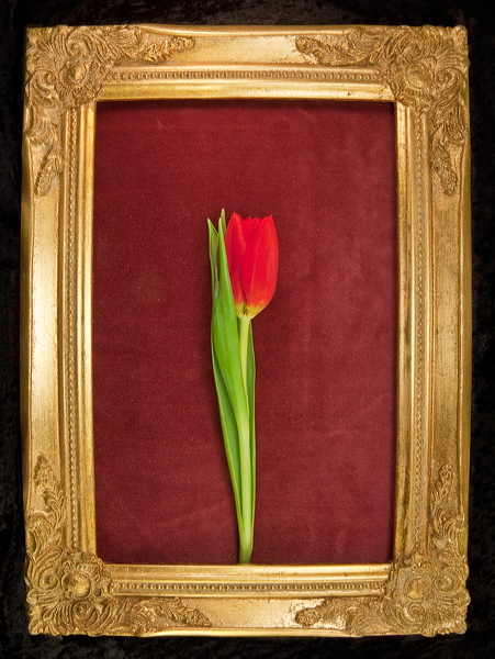 010041.jpg
