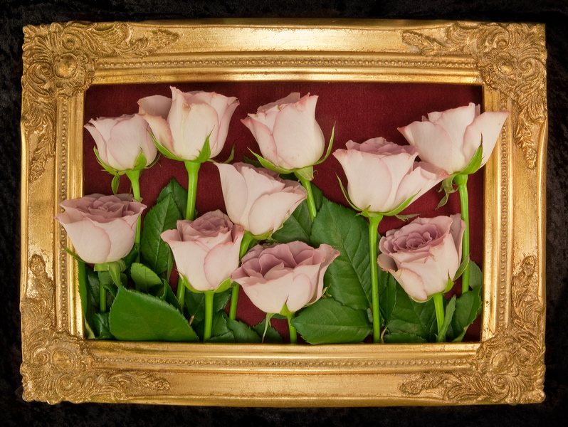 010044.jpg