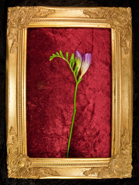 010049.jpg