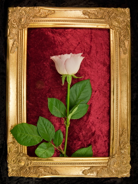 010055.jpg