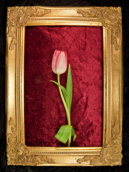010056.jpg