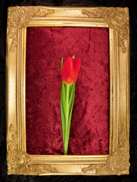 010057.jpg