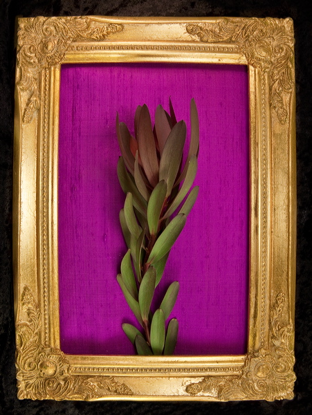 010062.jpg