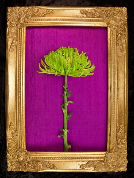010063.jpg