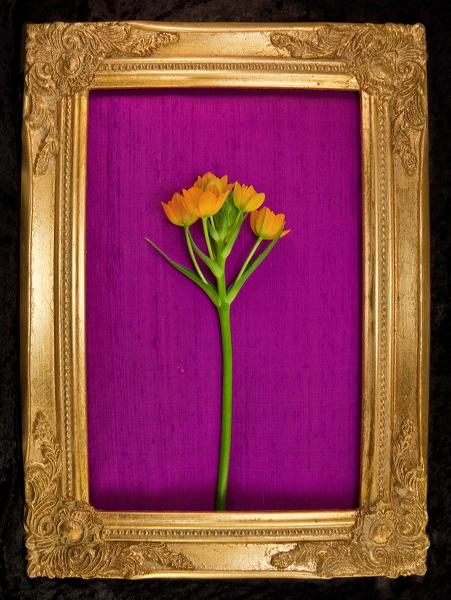 010065.jpg