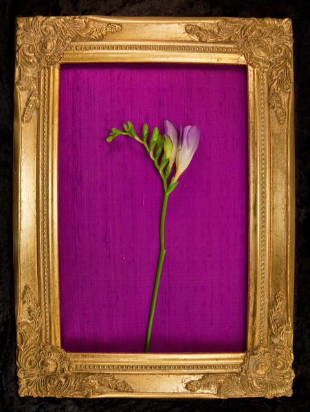 010066.jpg