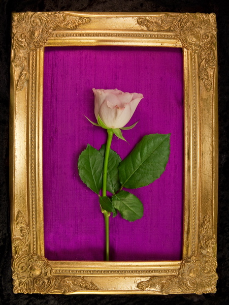 010070.jpg