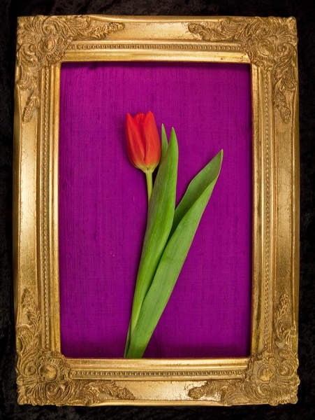 010072.jpg