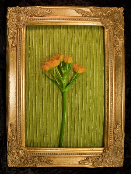 010086.jpg