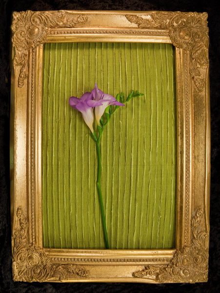 010087.jpg