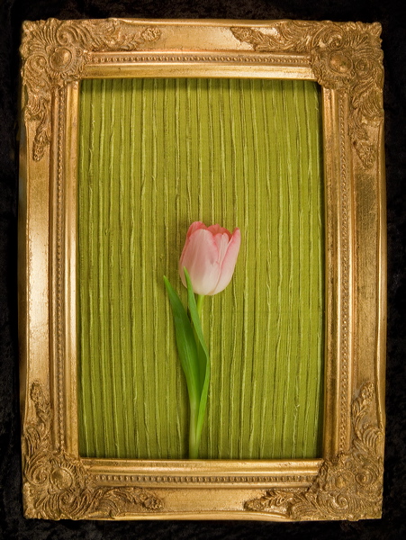 010089.jpg