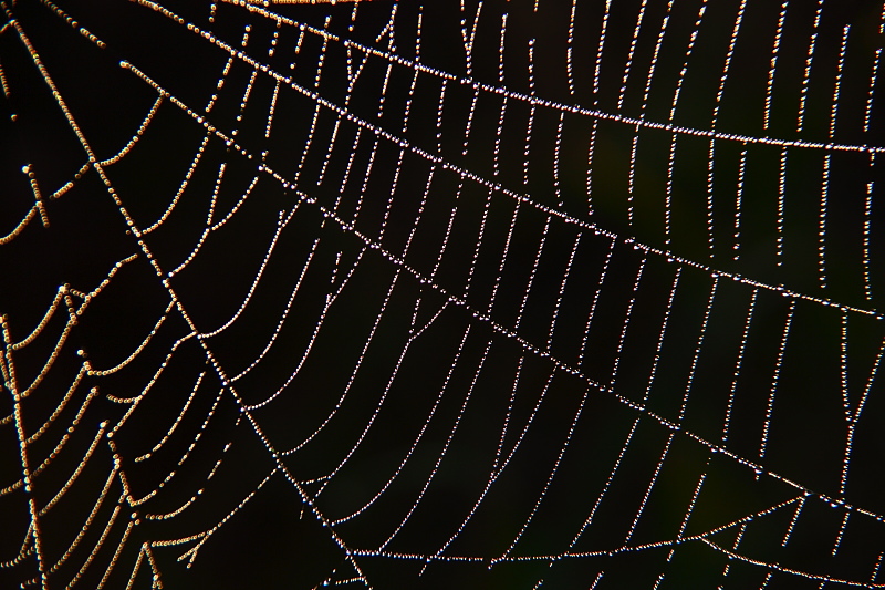 009435.jpg