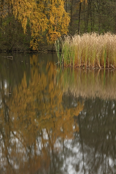 009772.jpg