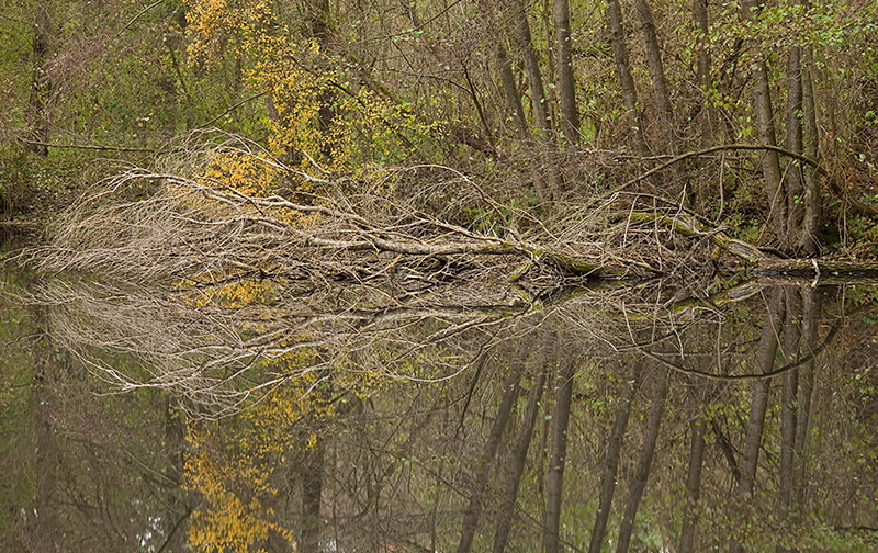 009775.jpg