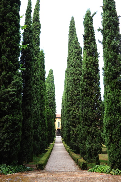 008903.jpg