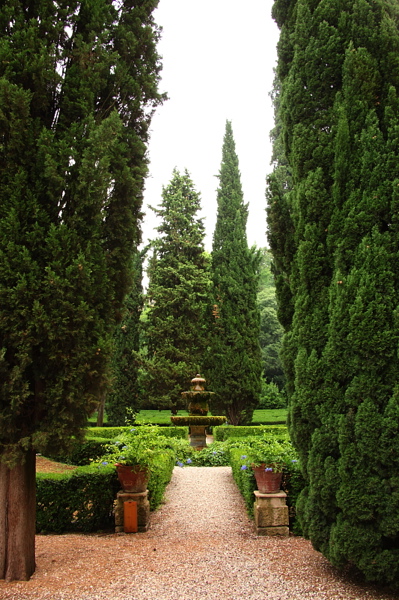 008907.jpg