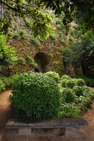 008945.jpg