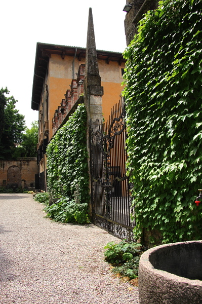 008954.jpg