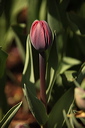 003920