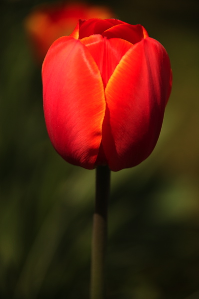 003919.jpg