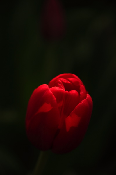 003973.jpg