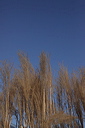 006023