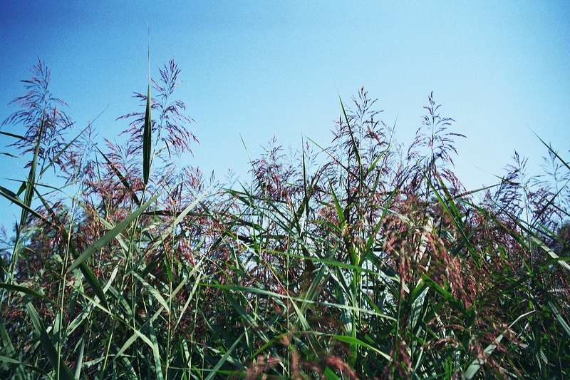 006014.jpg