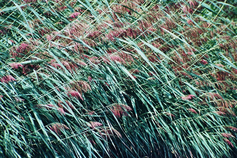 006016.jpg