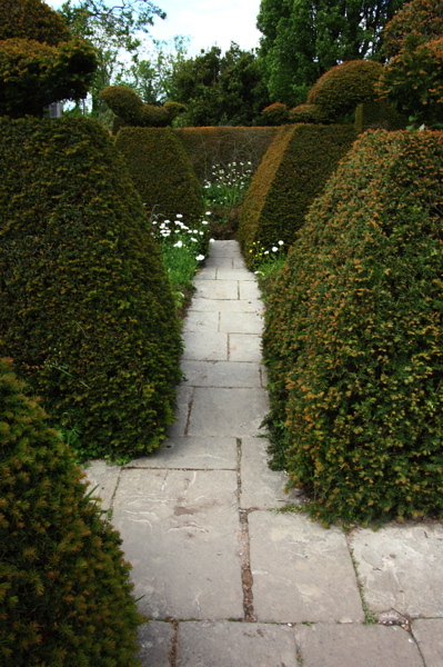 008186.jpg