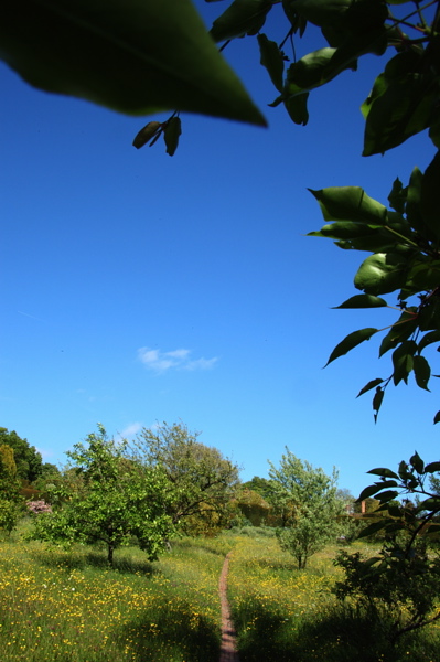 008244.jpg