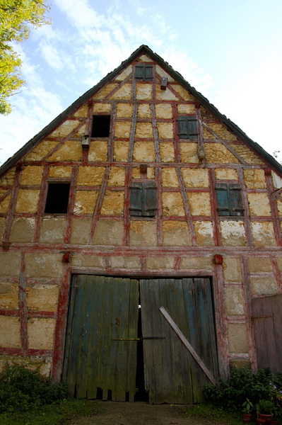 009702.jpg