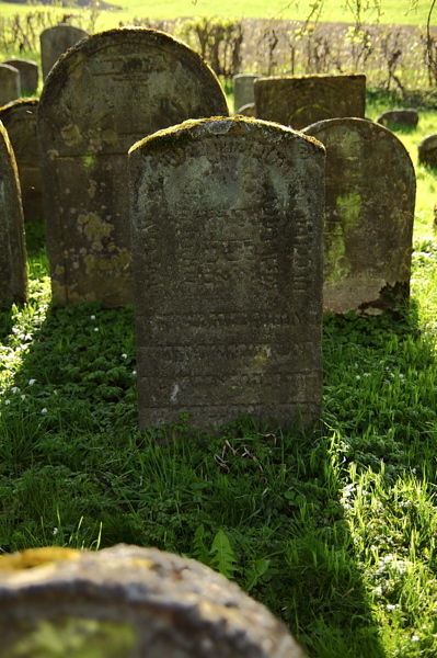 010357.jpg