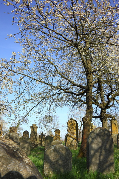 010373.jpg